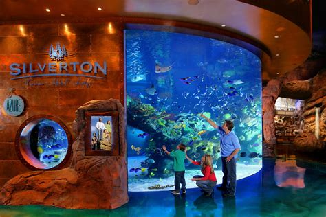 silverton hotel aquarium  Decent sized aquarium for a hotel